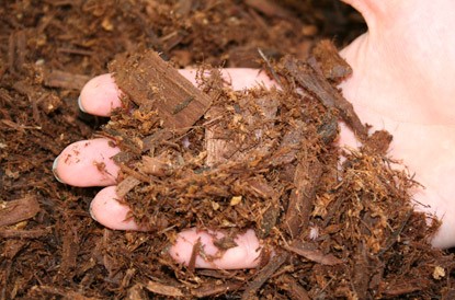 photo of a hand covered in mulch