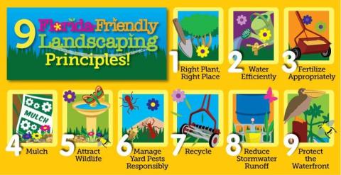 9 Principles About Florida-Friendly Landscaping
