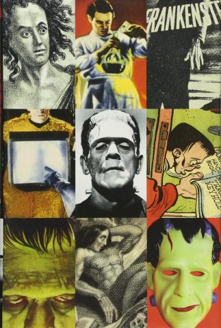 Frankenstein: A Cultural History--Book Cover