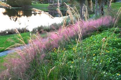 photo of Florida freshwater waterfront