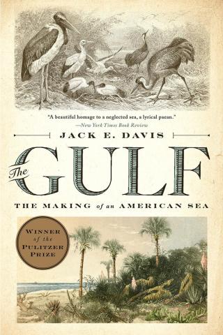 The Gulf - book cover