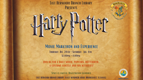 Harry Potter Movie Marathon & Experience