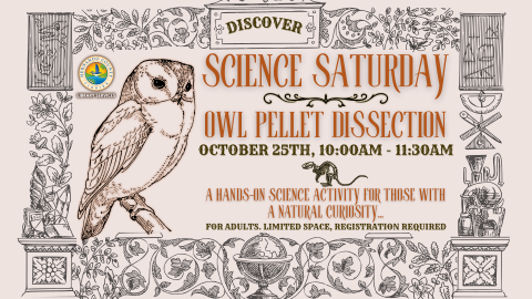 Science Saturday for Adults