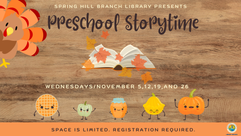 Preschool Storytime @ Spring Hill Branch 