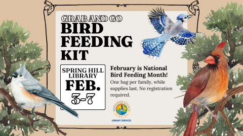 Bird Feeding Kit @ Spring Hill Branch