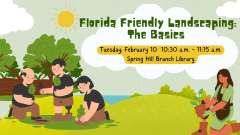 Florida Friendly Landscaping