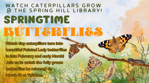 Springtime Butterflies