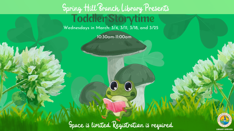 Toddler Storytime @ Spring Hill Branch 