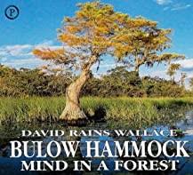 Bulow Hammock - book cover