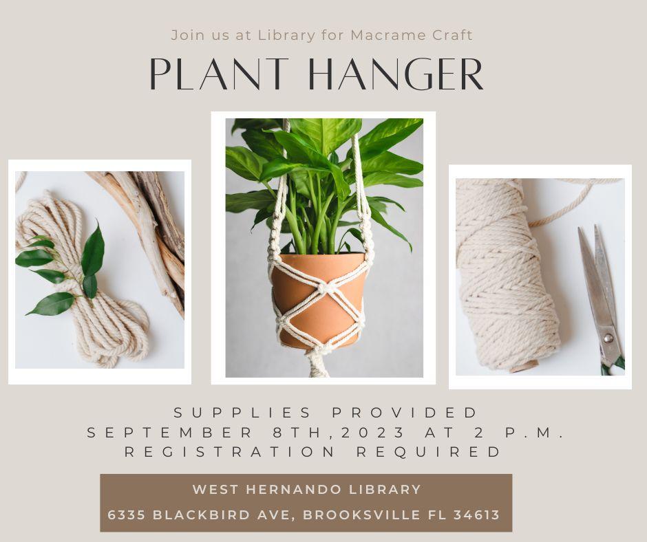 Macramé Plant Hanger 