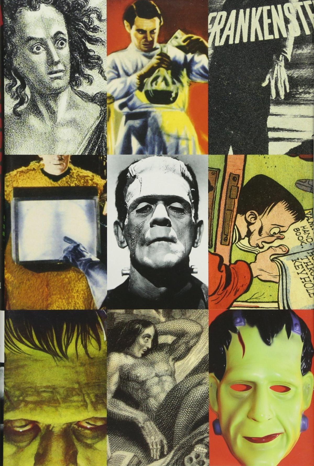 Frankenstein: A Cultural History--Book Cover