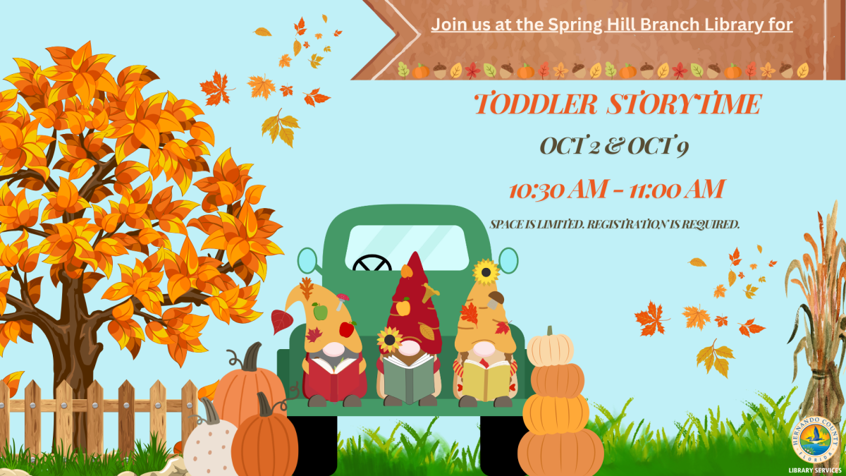 Toddler Storytime @ Spring Hill Branch 