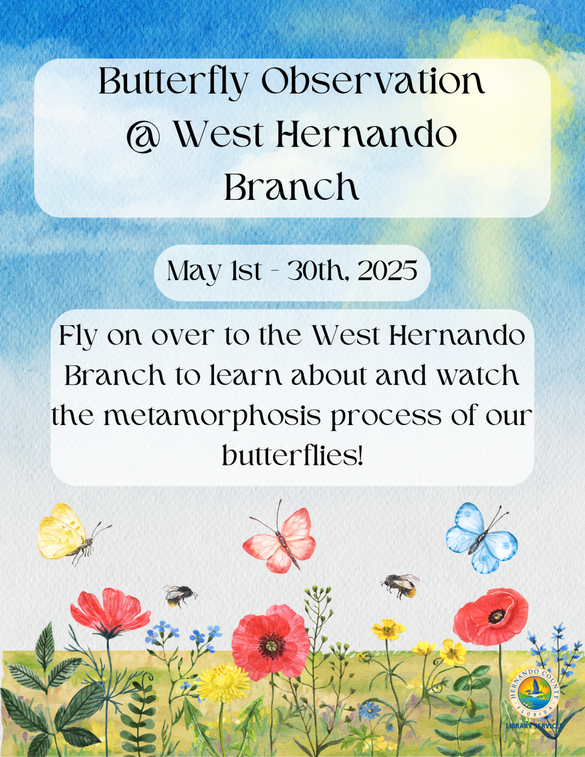 butterfly observation