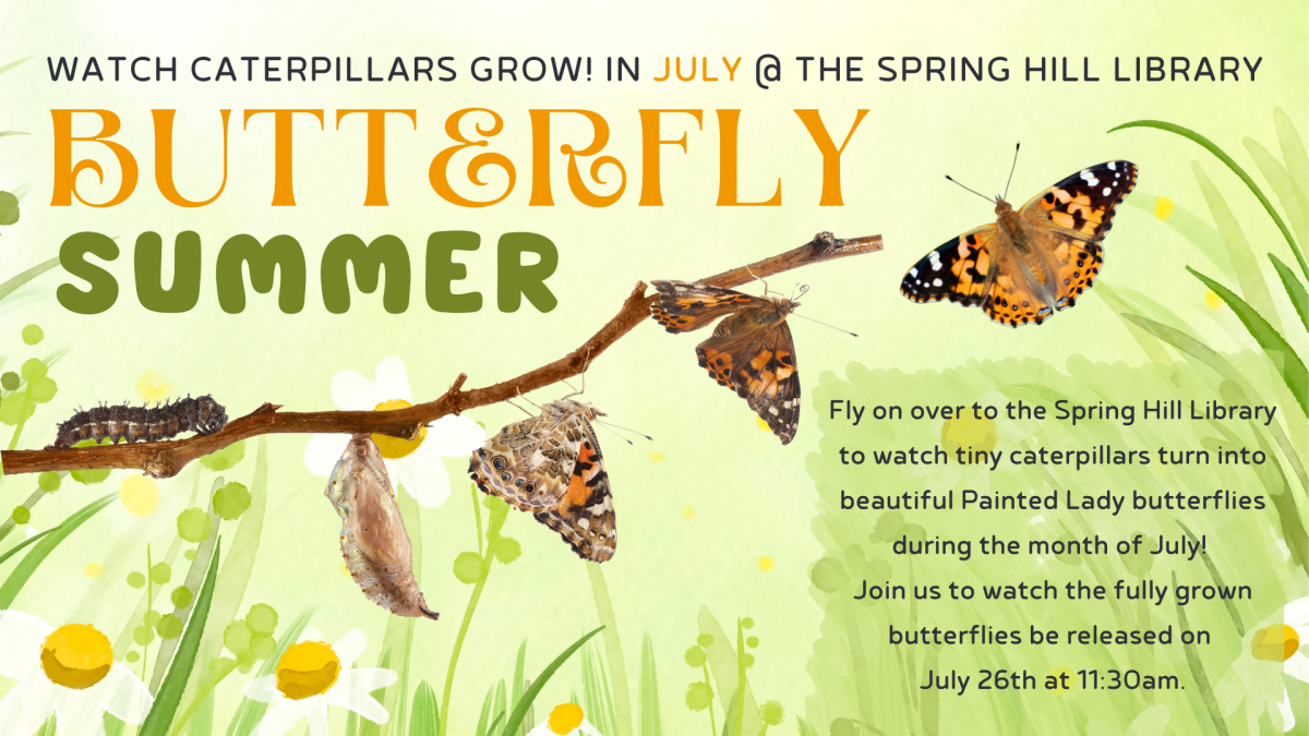 Butterfly Summer @ Spring Hill Branch