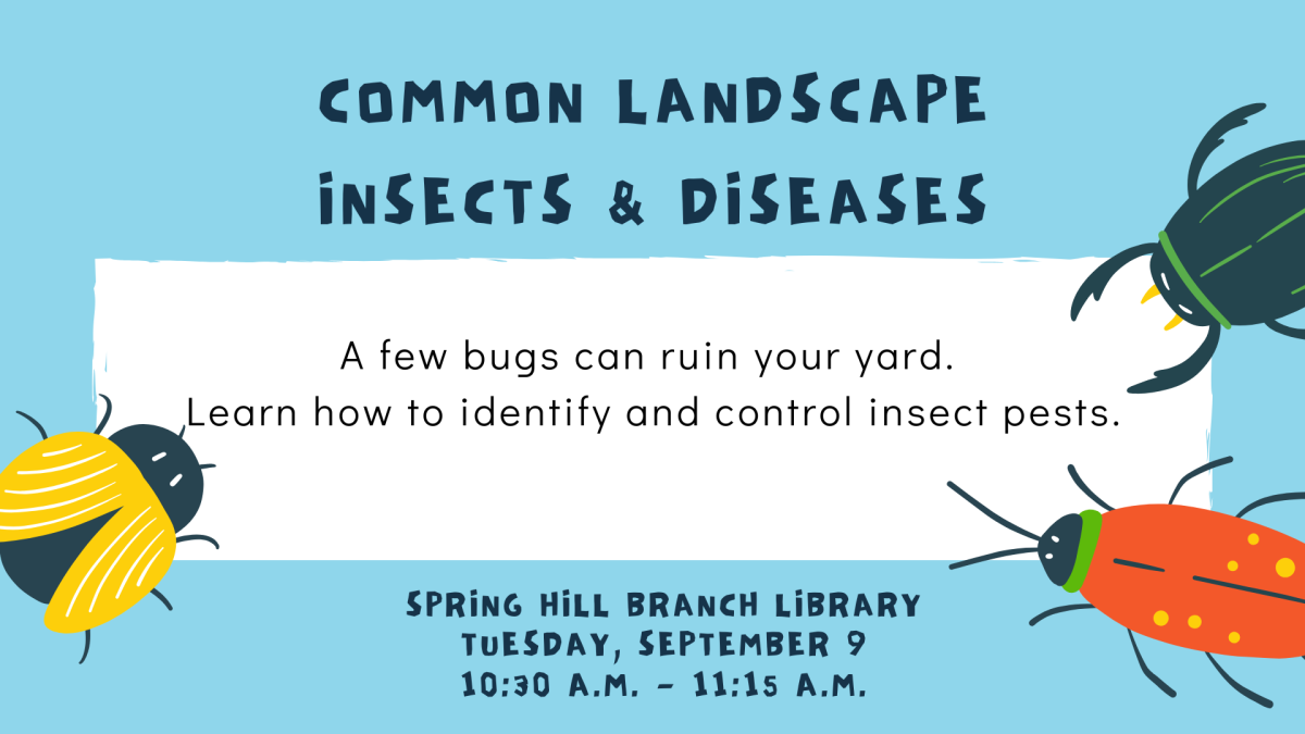 Common Landscape Insects & Diseases