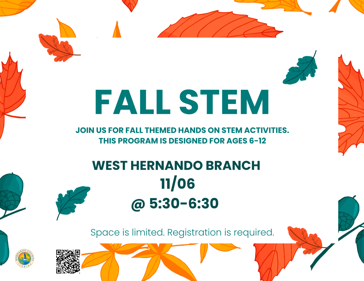 Fall STEM @ West Hernando Library