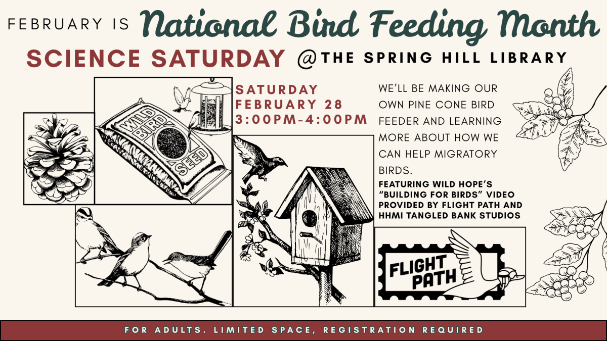 Science Saturday for Adults