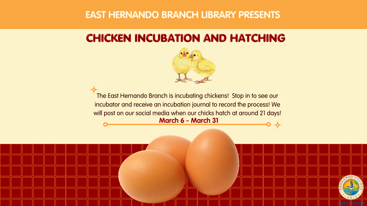 Chicken Incubation and Hatching @ East Hernando